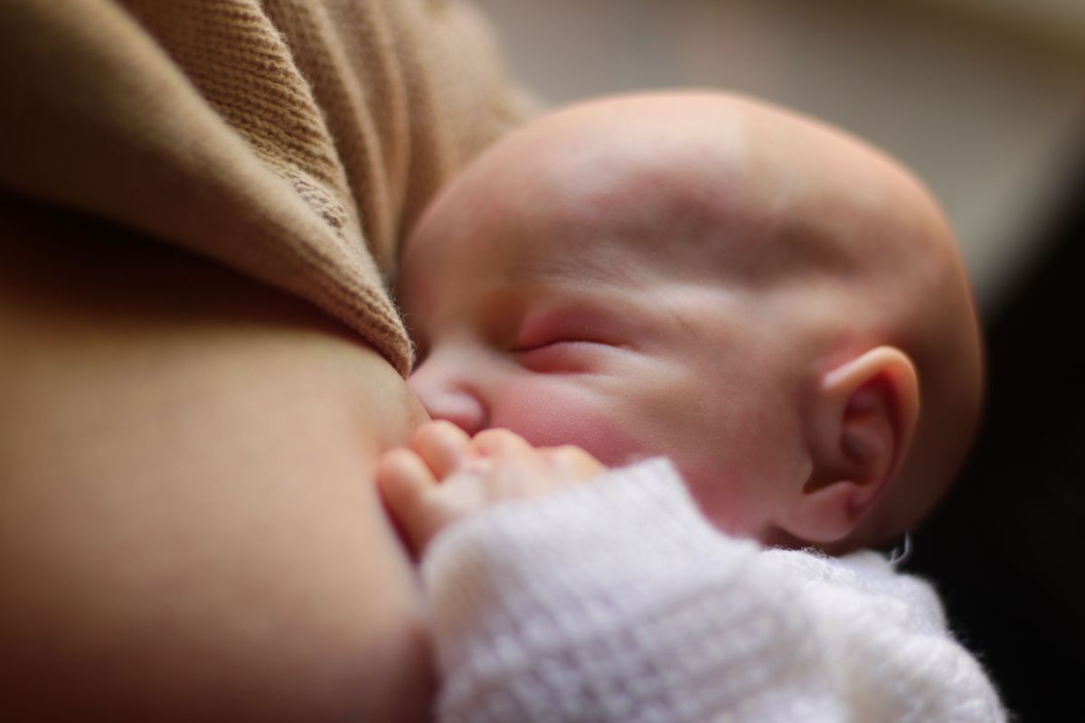 meilleur lait infantile 1er âge